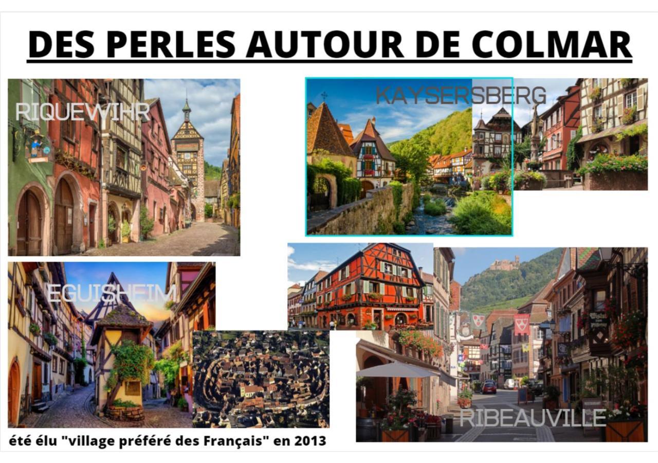 Thann Colmar - 1 Chambre - 5 Pers - Parking المظهر الخارجي الصورة